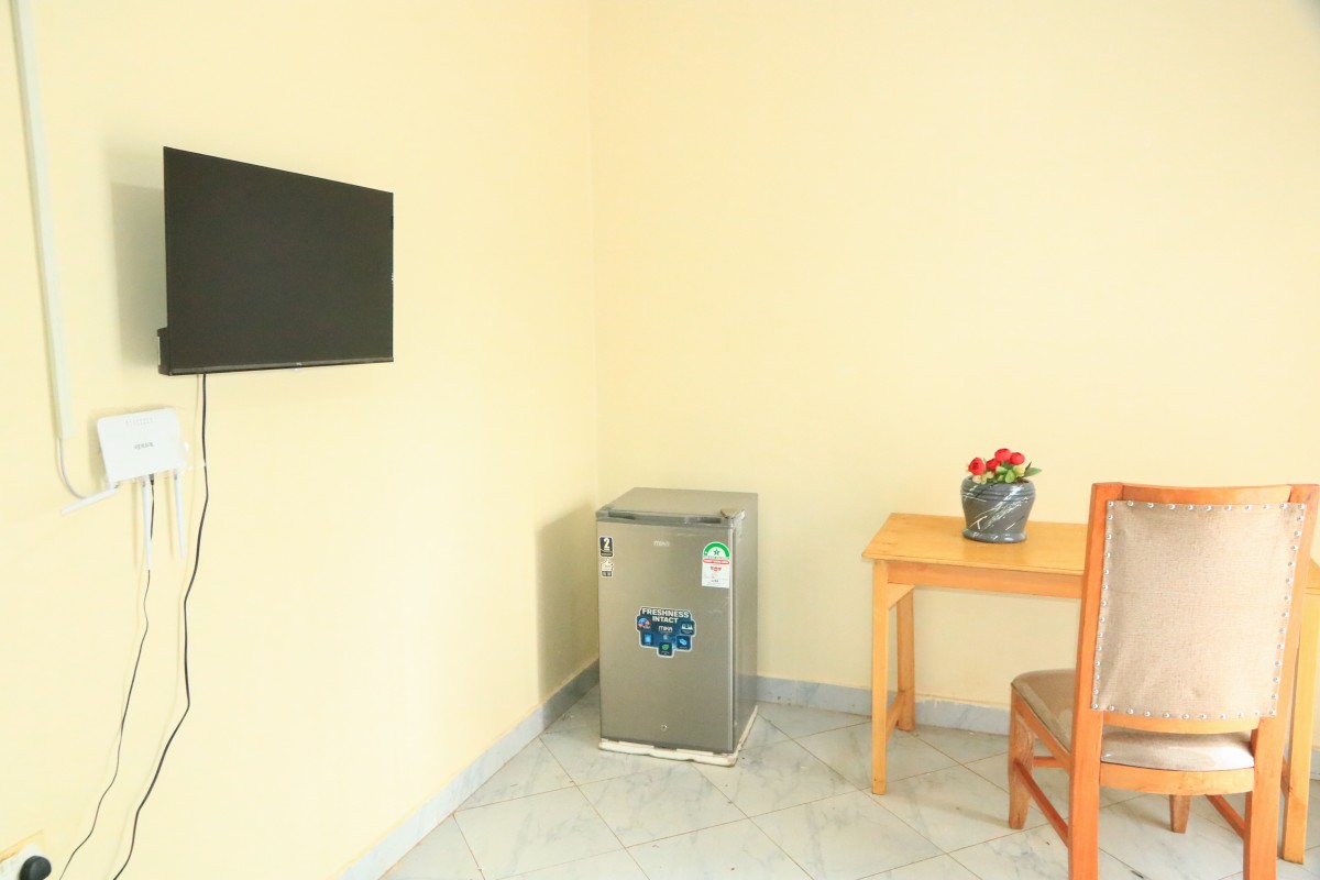 TV and fridge corner